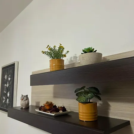 Apartment Teta *